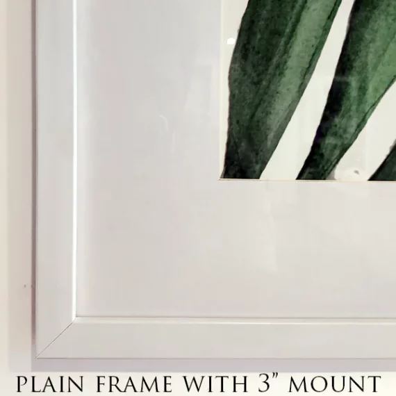 ,5 inch frame white plain