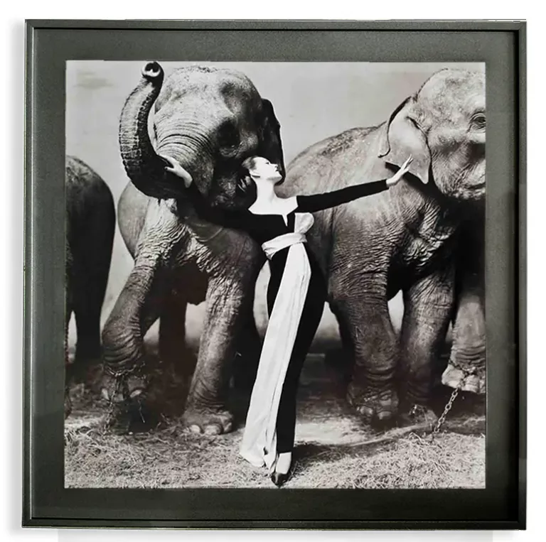 Dovima with Elephants, 1955 copy black