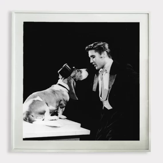 Elvis and the Basset Hound 2