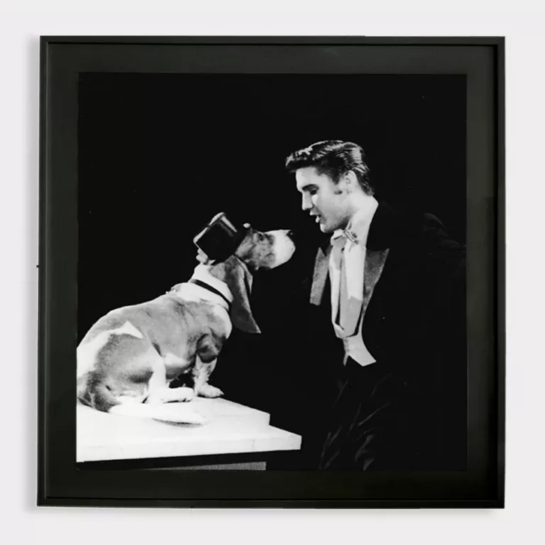 Elvis and the Basset Hound 2 black